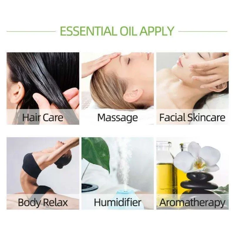 ERBOLO 10ml Pure Plant Essential Oil For Humidifier Diffusers Mint Lavender Tea Tree Vanilla Sandalwood Jasmine Pure Nature Oil