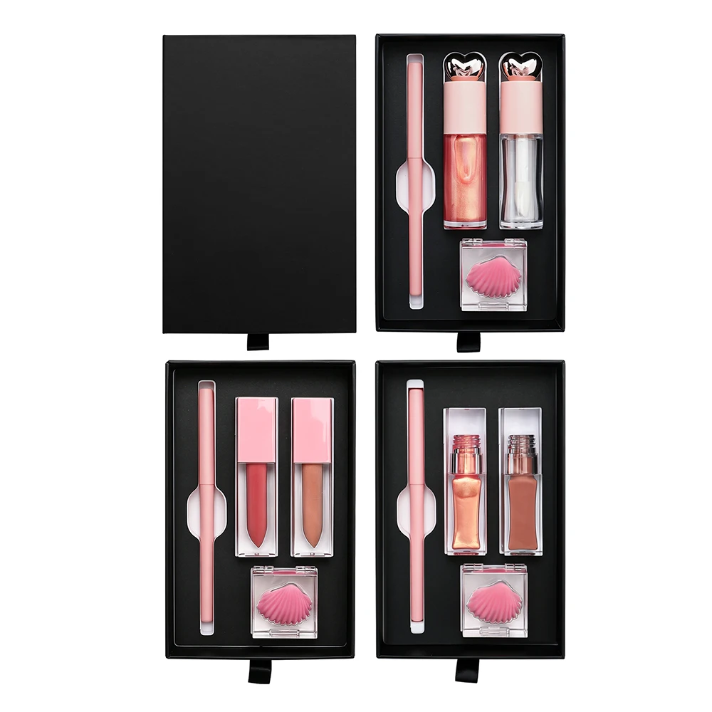 Lip Gloss Kit Private Label Pigment Long Lasting Waterproof Hydrating Glossy Matte Non-stick Custom Logo Makeup 3types of Tubes