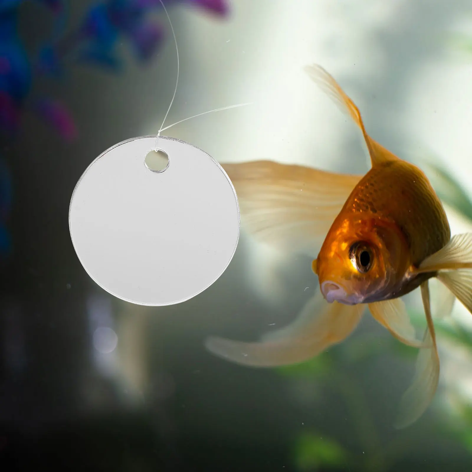 

1Set Fish Tank Mirror Betta Training Mirror Floating Ball Design for Betta Fish Tank Decorative Aquarium Decoration Supplies