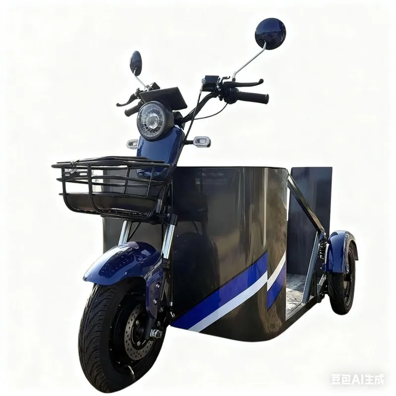 Hot Selling  Electric Tricycle Manufacturer Direct Sales 48V Voltage for Disabled People