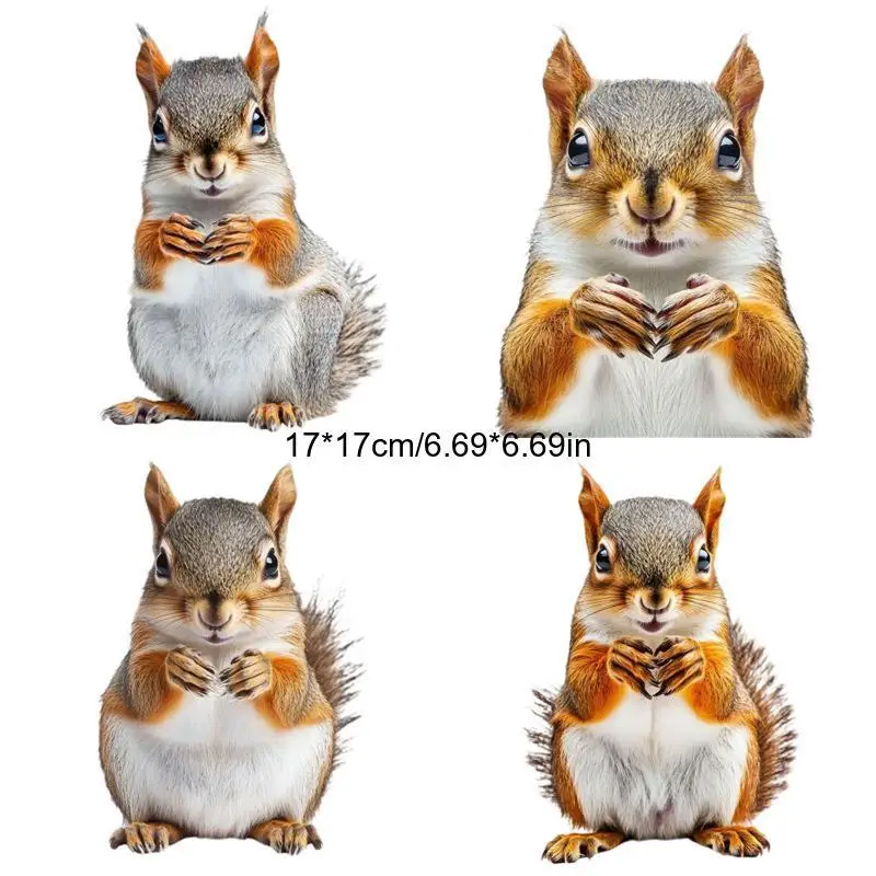 2D Flat 4Pcs Cute Squirrel Vinyl Stickers, Double Sided Printing Scratch Resistant Decals for Car Bumper Motorcycle Decor