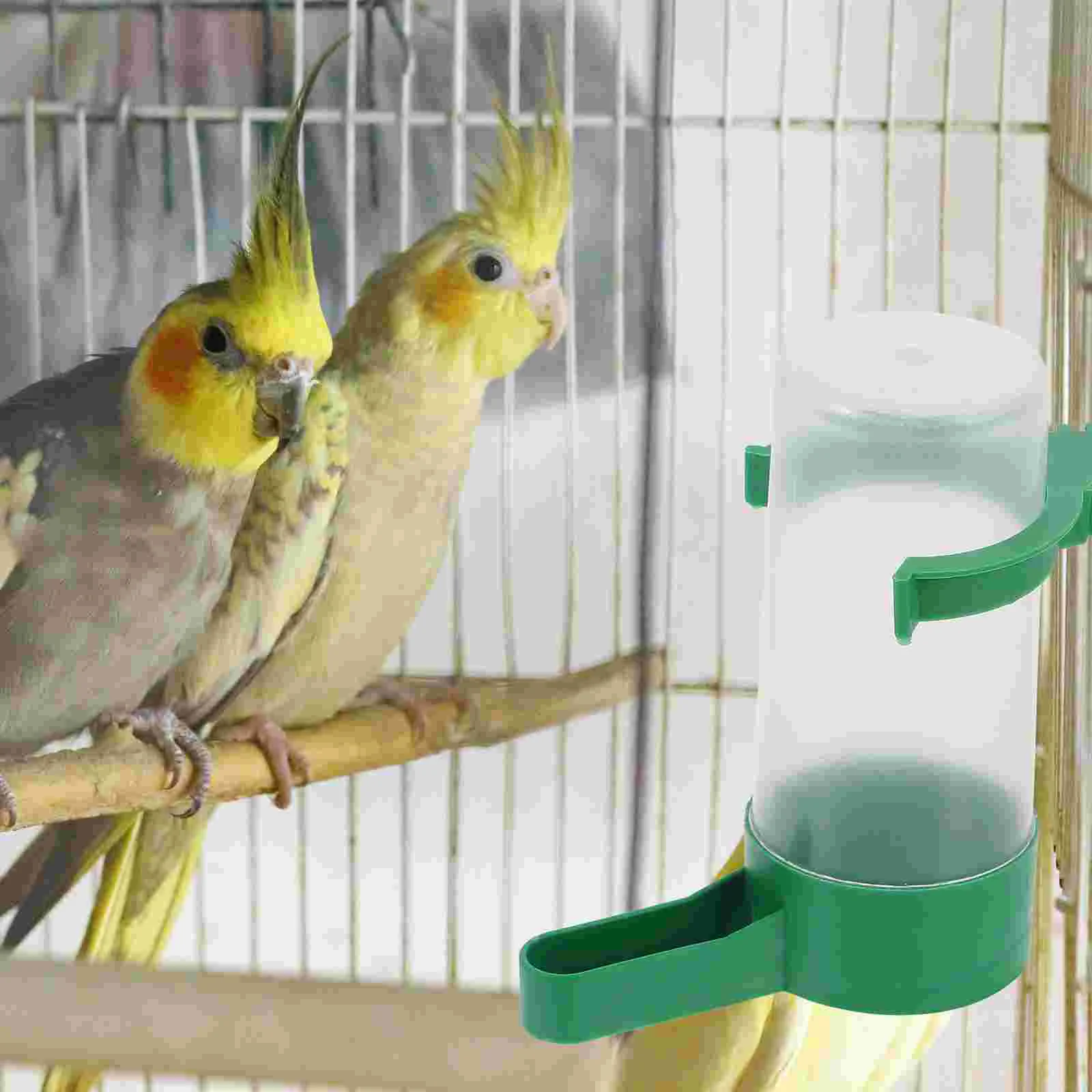 10 Pcs Bird Waterer Feeder Feeders Self Drinker Kettle Cup Pet Dove Gift Plastic Pigeon Kettles