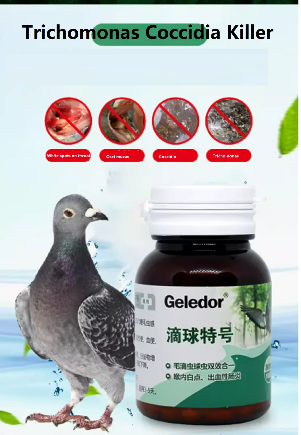 100 قرص/صندوق Trichomonas Pigeon Coccidia 2 في 1 Infection Nodular Stool Disorders الجهاز الهضمي