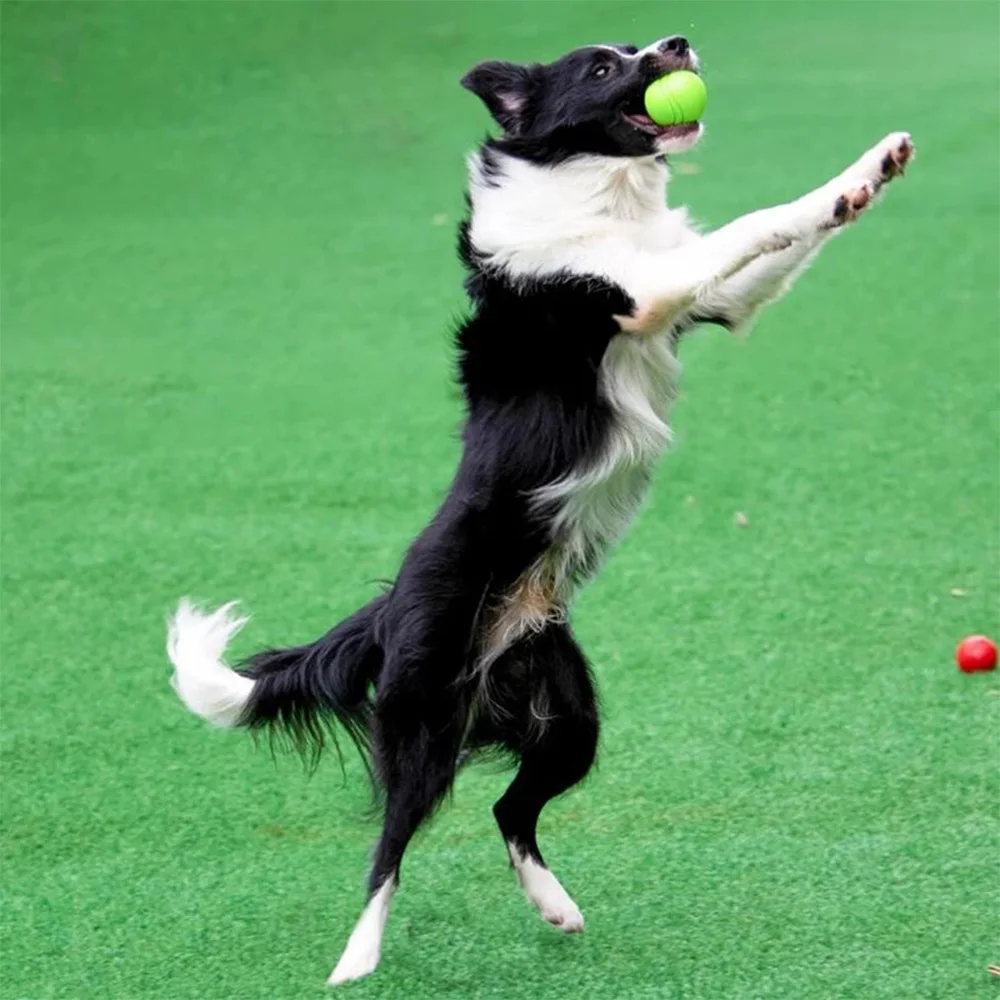 Hundespielzeug Hundeball Hunde-TPR-Ball Widerstandsfähiges Kauspielzeug für Hunde Outdoor-Wurf- und Auffangtraining für Hunde – Detail 7