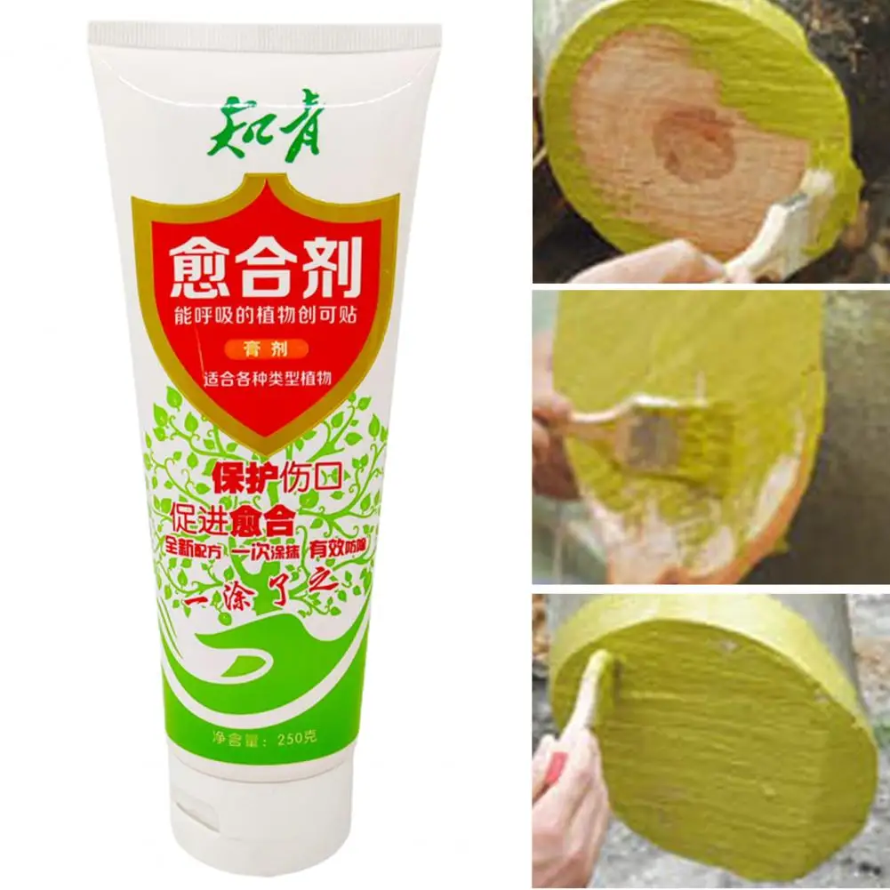 

Tree Grafting Wound Agent Efficient Tree Grafting Pruning Bonsai Cut Care 250g Plant Wound Paste Portable Smear for Healing