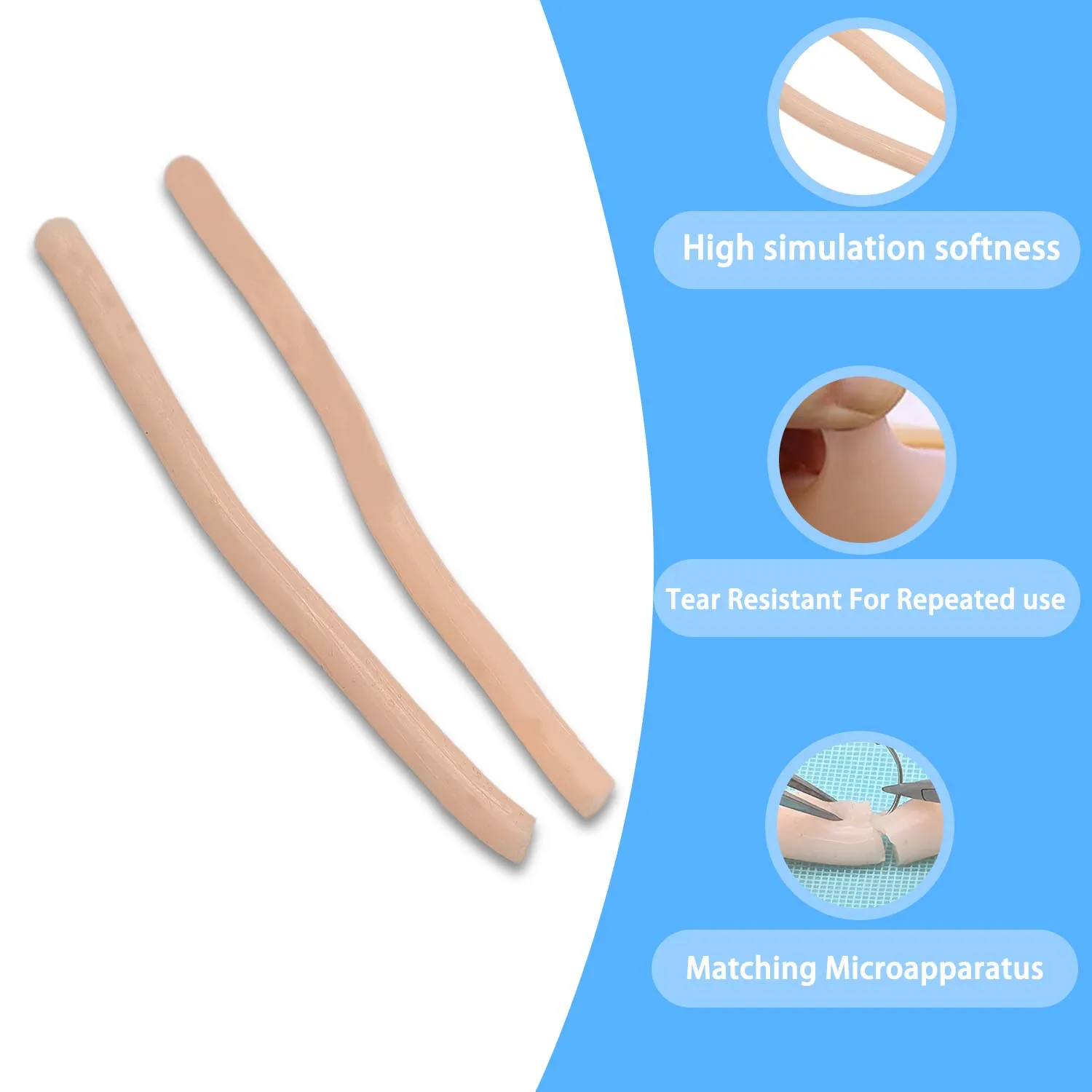 Nerve tendon suture training peripheral nerve tendon repair simulator surgical suture model