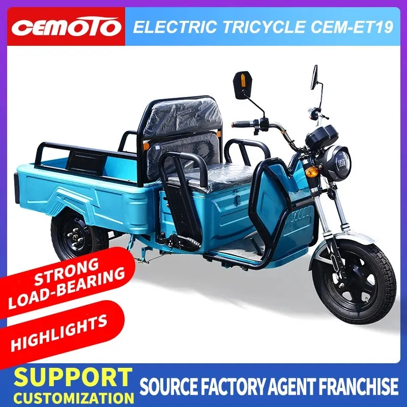 Cheap 12 Inch Long Range 60V 800W electric trike Powerful adult 3 wheel electric cargo tricycle For Sale