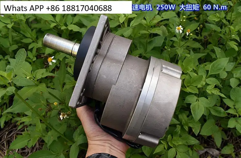 DC barrier 90 degree angle, brushless geared motor 250W high power 60.N.m (a complete set)