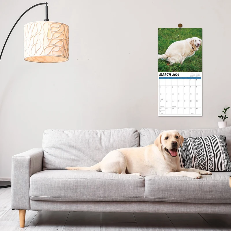 1 PCS 2024 Wall Calendar-2024 Calendar 12 Monthly Pooping Dogs Calendar 2024 Funny Gag Gifts