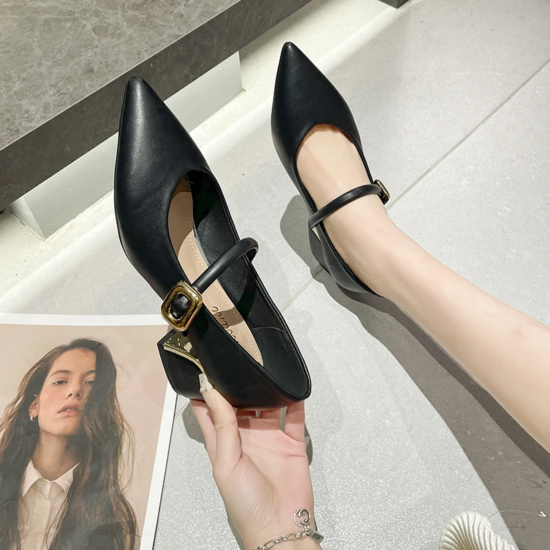 Pointed Toe Sexy Women High Heels Shoes 2024 New Fashion Chunky Shoes for Women Dress Brand Party Elegant Pumps Female Zapatos