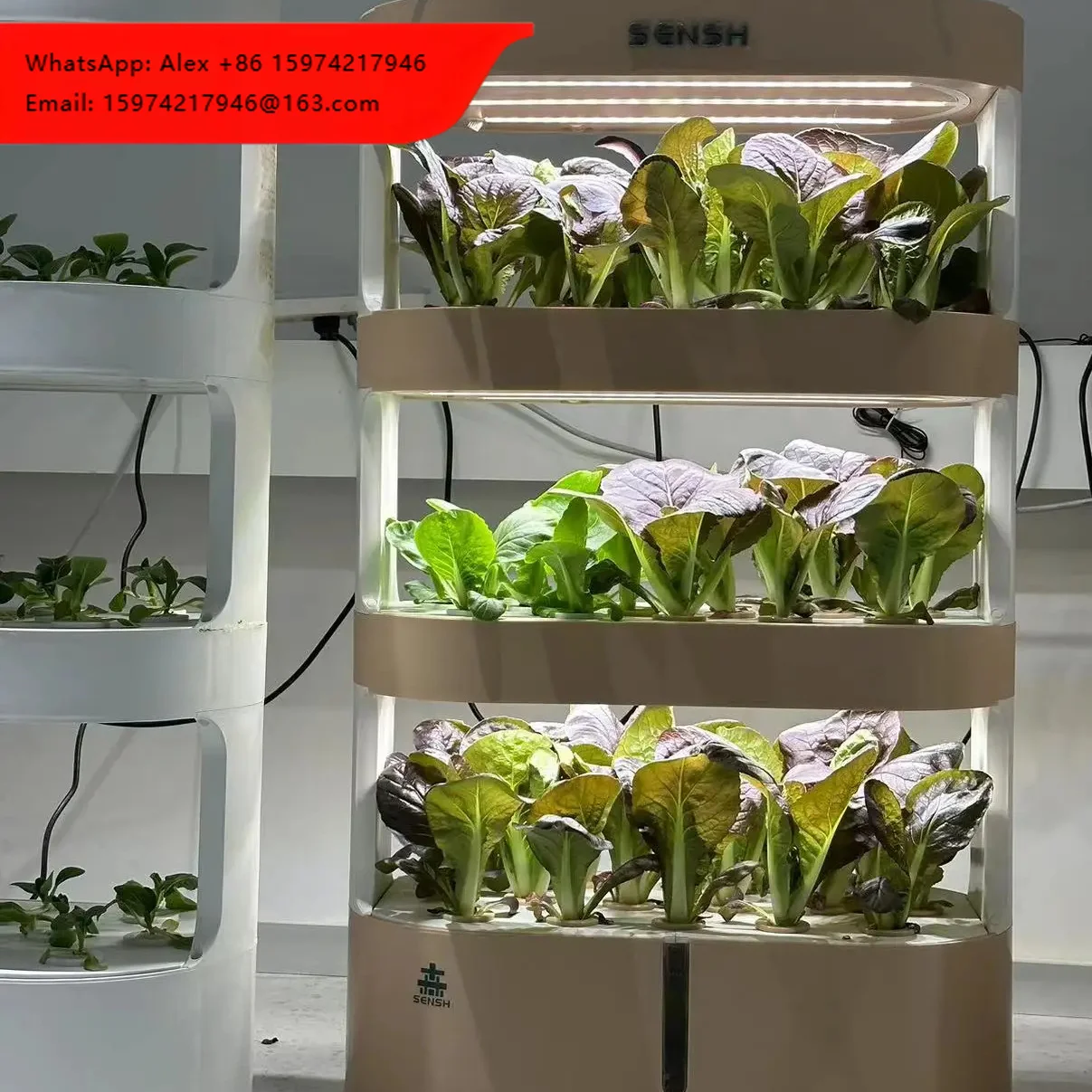 Home Soilless Cultivation Equipment Agricultural Hydroponics System