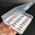 24Pcs-Box