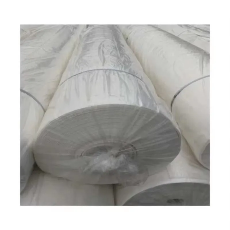 

【Best-selling】Drainage Non Woven Fabric Price 200g Geotextile Soil Filtration and Reinforcement Geofabrics Cloth