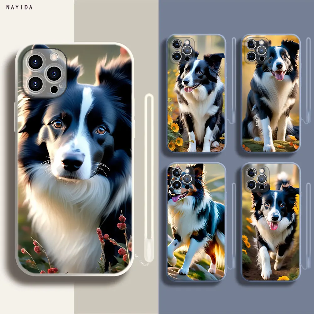 Soft Silicone Phone Case For Apple iPhone 15 14 13 12 11 Pro X XS Max XR Plus Mini Cover Beautiful Border Collie