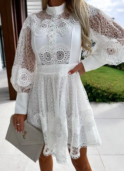 

Commuting Solid Color Lantern Sleeve Sexy Lace Lace Inset Style Long Sleeved Dress for Women