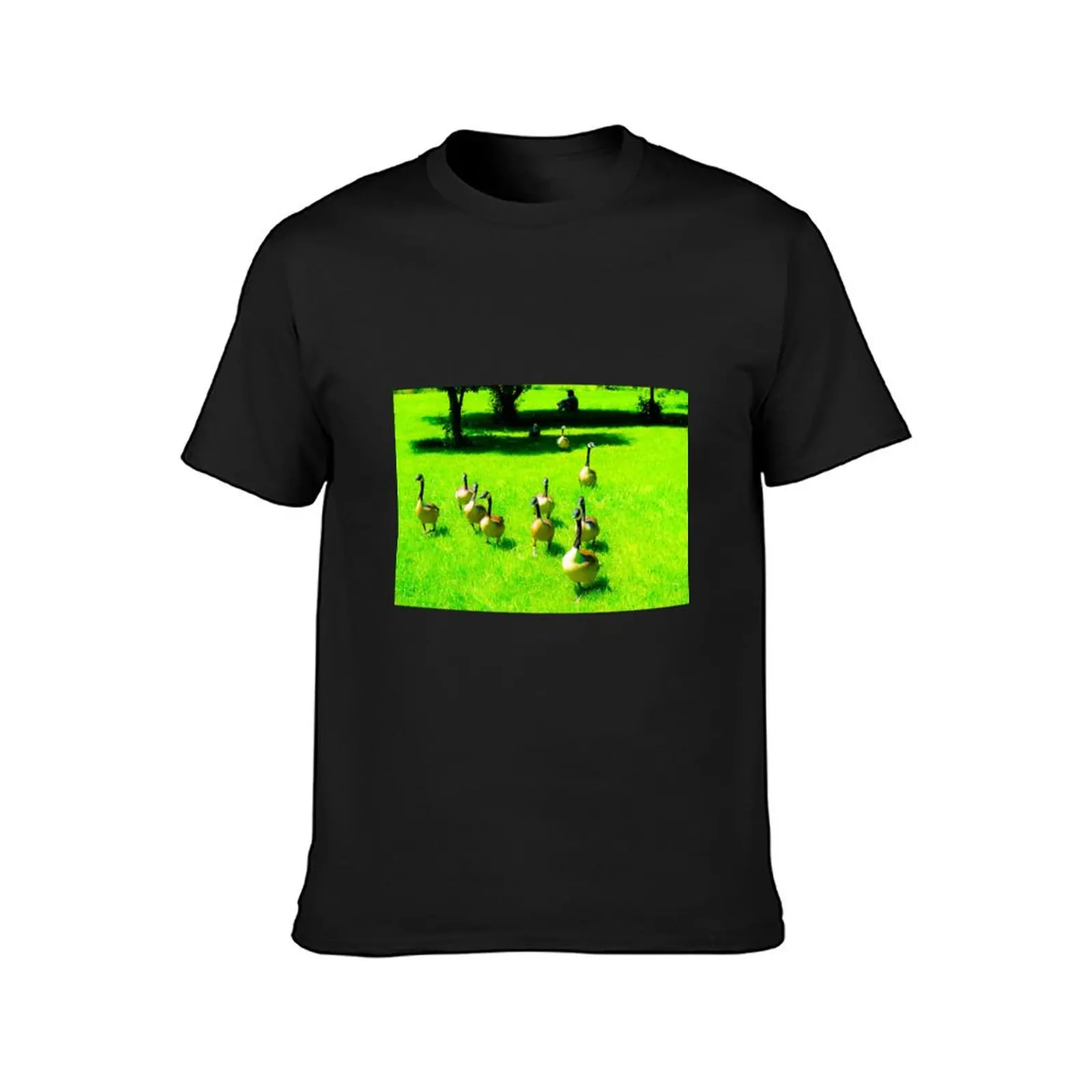 Fresh green Grass, Running Canadian Geese T-Shirt plain funnys boys whites mens tall t shirts