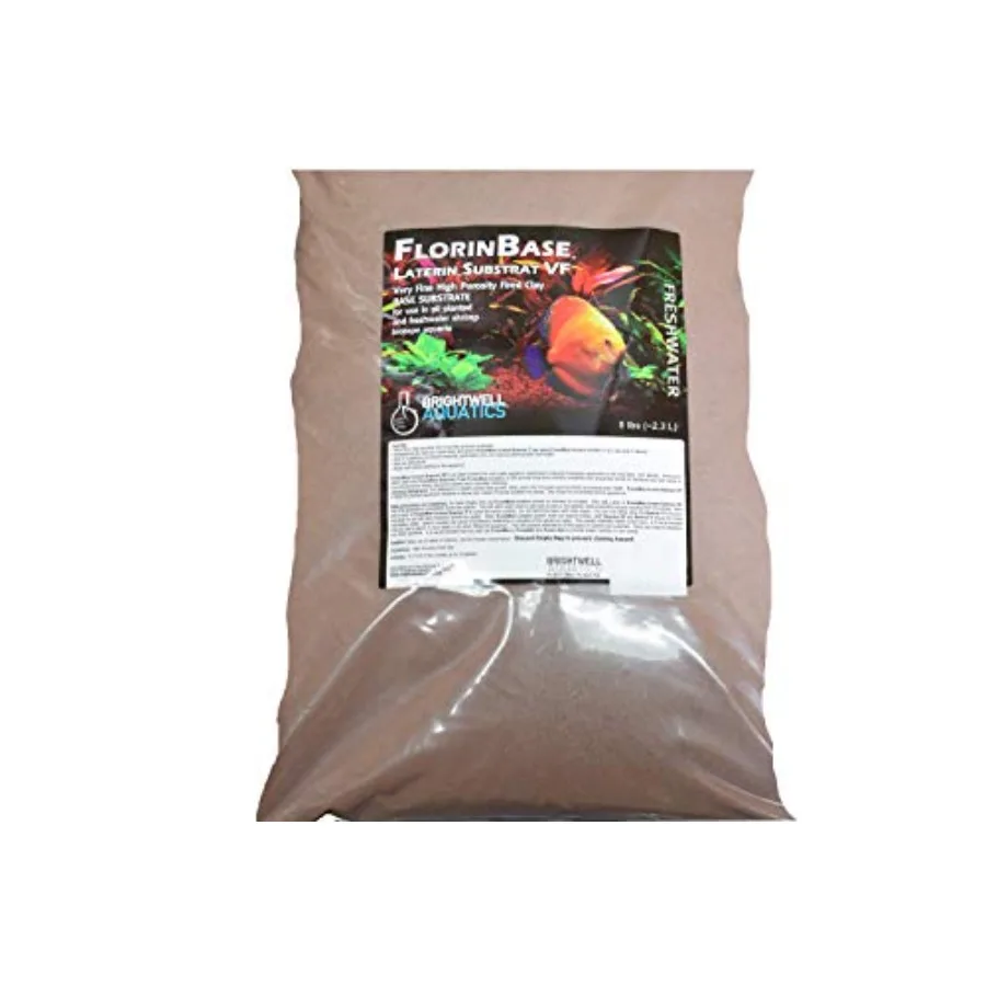 【Spot Goods】Florinb…