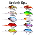 10pcs