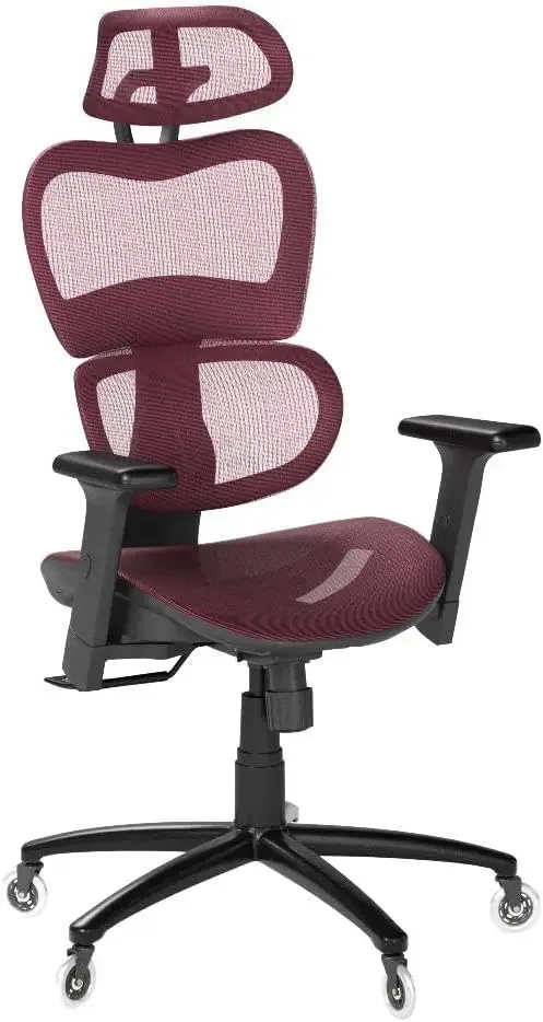 Ergonomic Office Chair  4D Adjustable Armrest, Adjustable Headrest and Wheels, Mesh High Back Home Office Desk Chairs