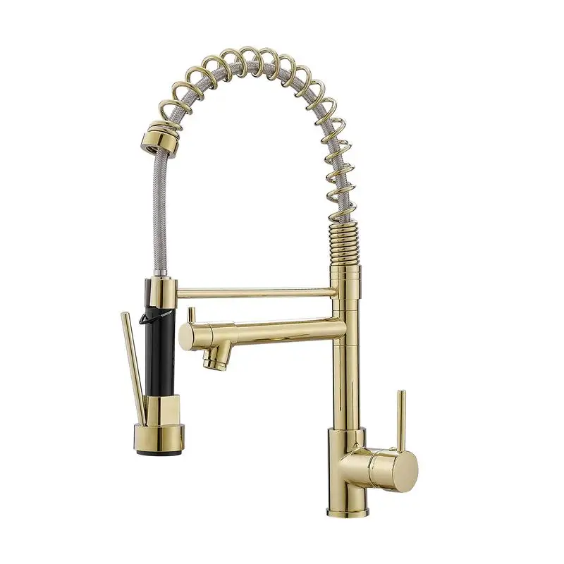 

Single Handle Pull Down Kitchen Faucet with Sprayer in Gold Finish - Modern Design for Efficient Use and Easy Cleaning