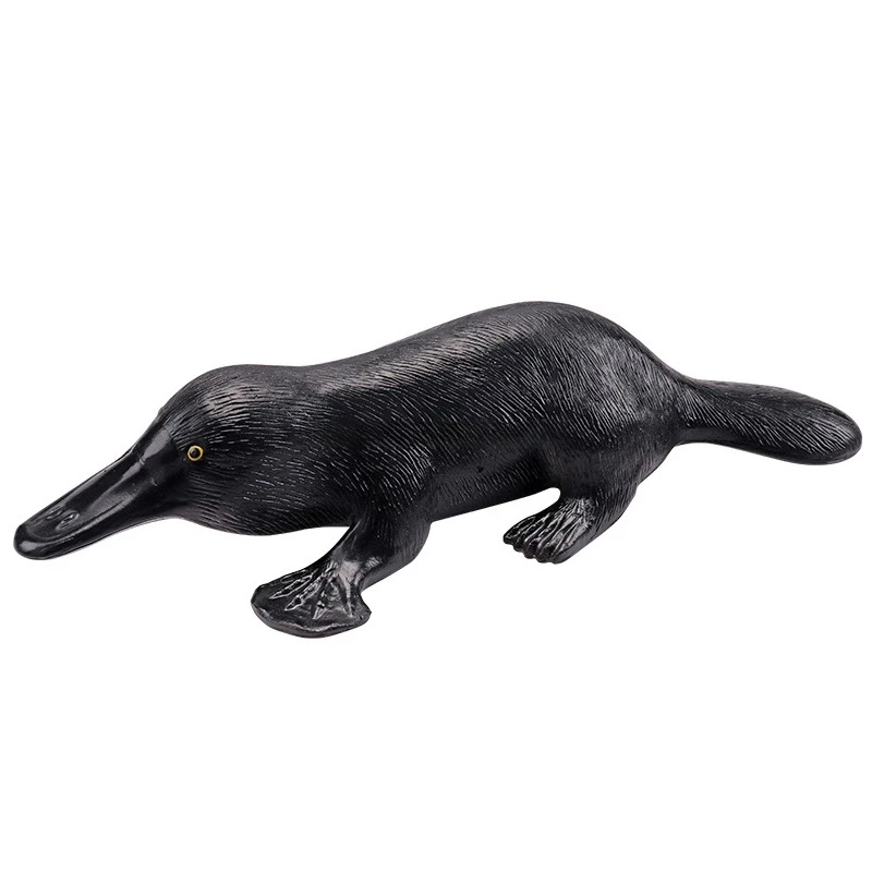 Plastic Platypus Simulation Model Biomedical Educational Teaching Aid