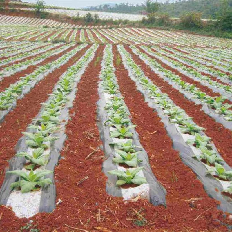 10m 0.008mm Mulch Film PE Black White Plastic Mulch Garden Ground Cover Film Frost Protection Keep Warm Weed Control