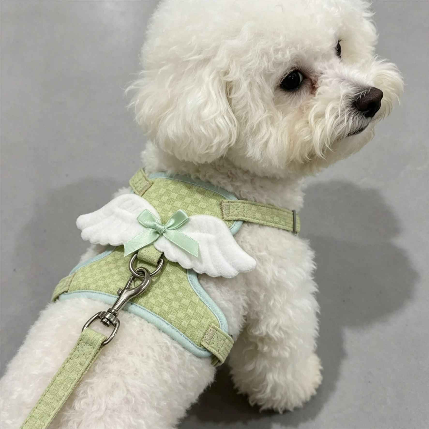 Angel Wing Cat Harness and Leash Set  Adjustable Kitten Vest Harness for Walking Escape-Proof Soft Mesh Breathable Also Puppy
