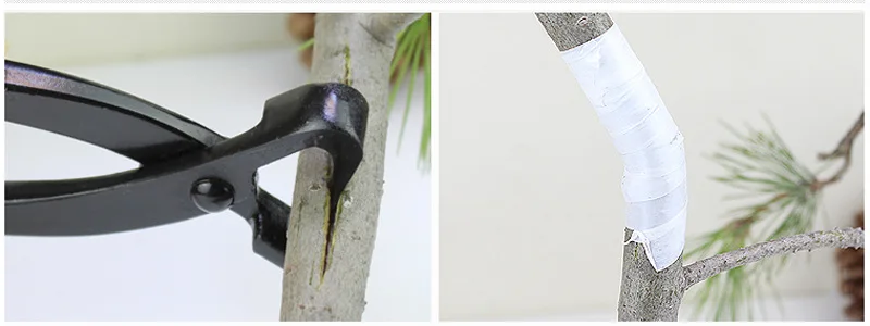 15Pcs Bonsai Beschneiden Werkzeug Set Carbon Stahl Umfangreiche Cutter Schere Kit mit Nylon Fall Für Home Garten Hand DIY beschneiden Werkzeug – Detail 8