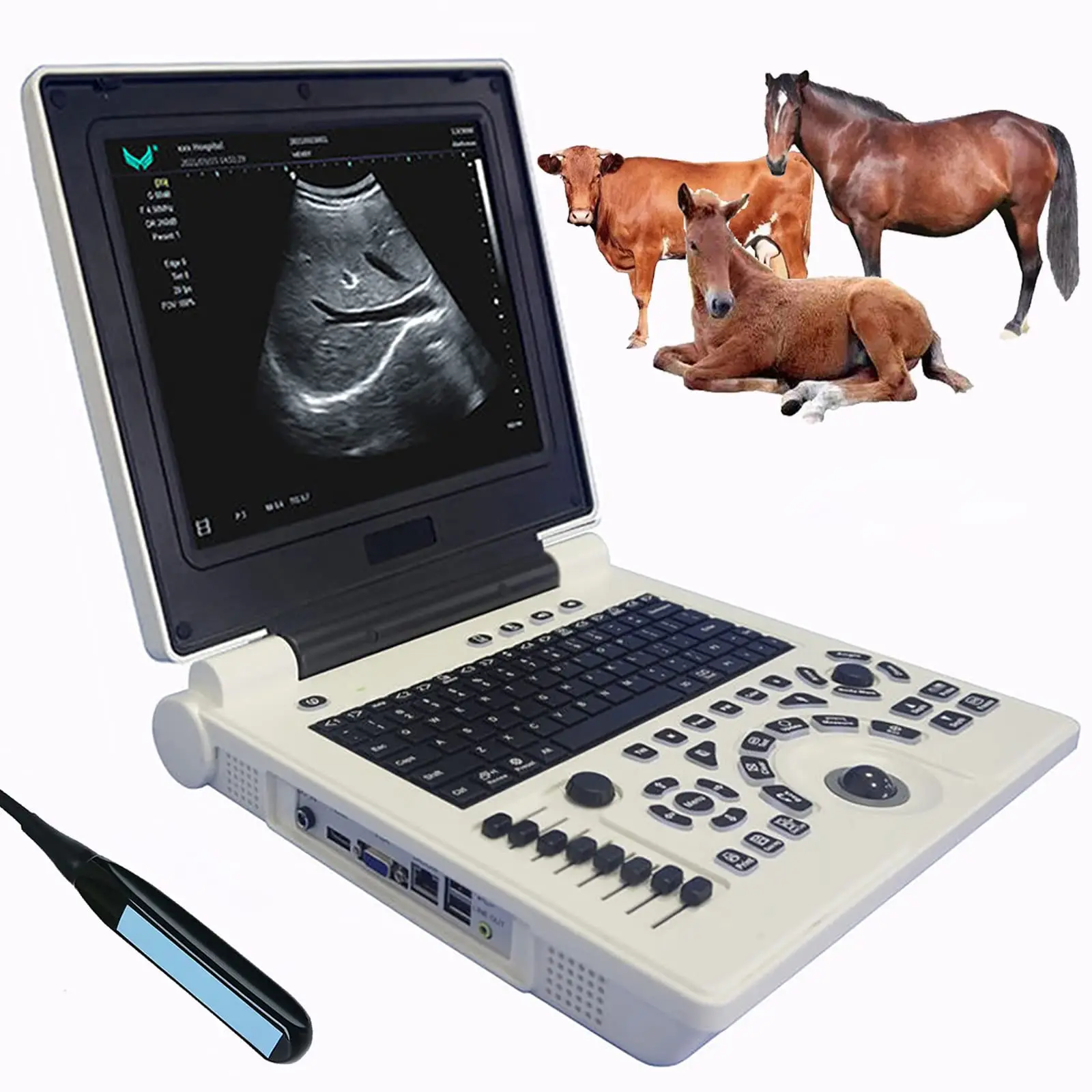 Ultrasound Scanner Veterinary Machine Laptop 12 Inch Portable Black White Doppler Farm Animals Pregnancy Convex Probes, with USB