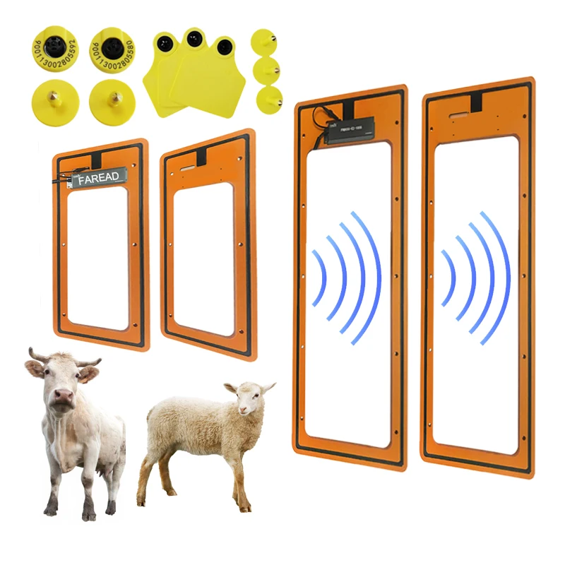 animal larger panel antenna fixed console reader for cattle ear tag livestock scale weigh dentification dairy plants RFID frames