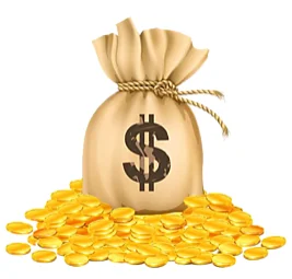 

Additional shipping fee-Dorothy