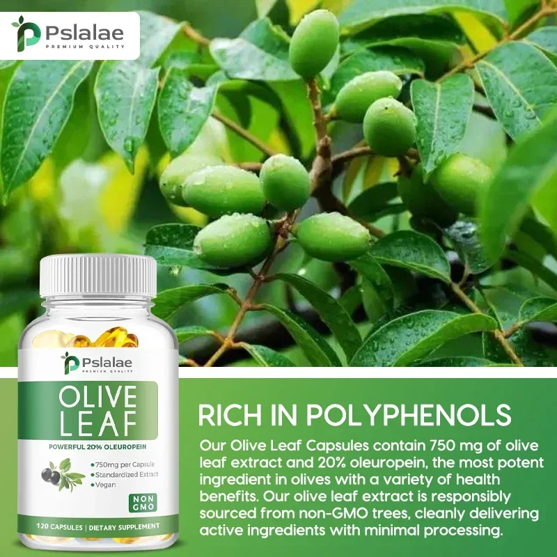 Olive Leaf Extract Supplement - Blood Circulation, Promotes Heart and Cardiovascular Health, Antioxidant,Improves Skin Condition