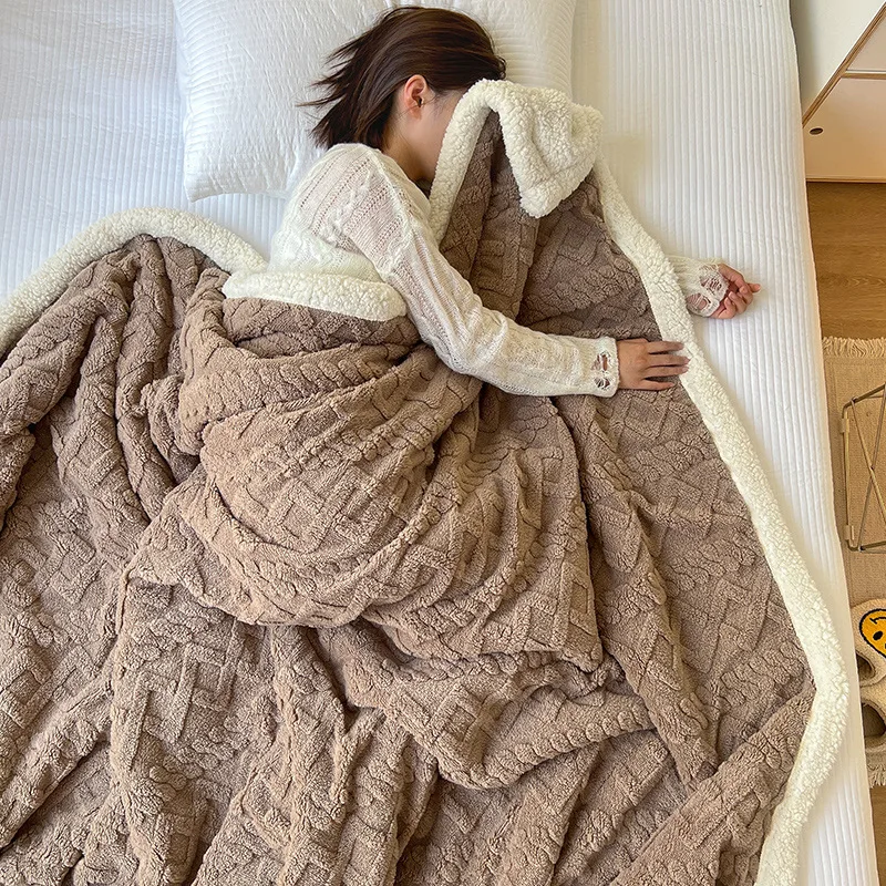 Nordic Pure Color Bedroom Simple Lamb Wool Double-Layer Thick Light Luxury Style Office Sofa Nap Blanket