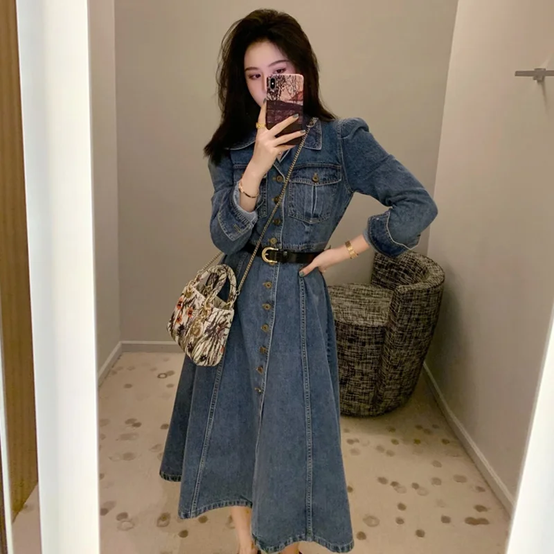 Fall 2024 plus Size Women's Denim Skirt Little Fragrance Style Dress Plump Sister Slimming Long Dress Korean Style High Waist...