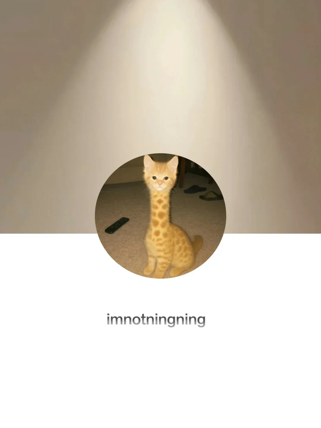 

Polyurethane Rear Knuckle Bush Kit Pair For Nissan S13 240SX S14 S15 Skyline R32 R33 R34 Replacement Poly Bushing