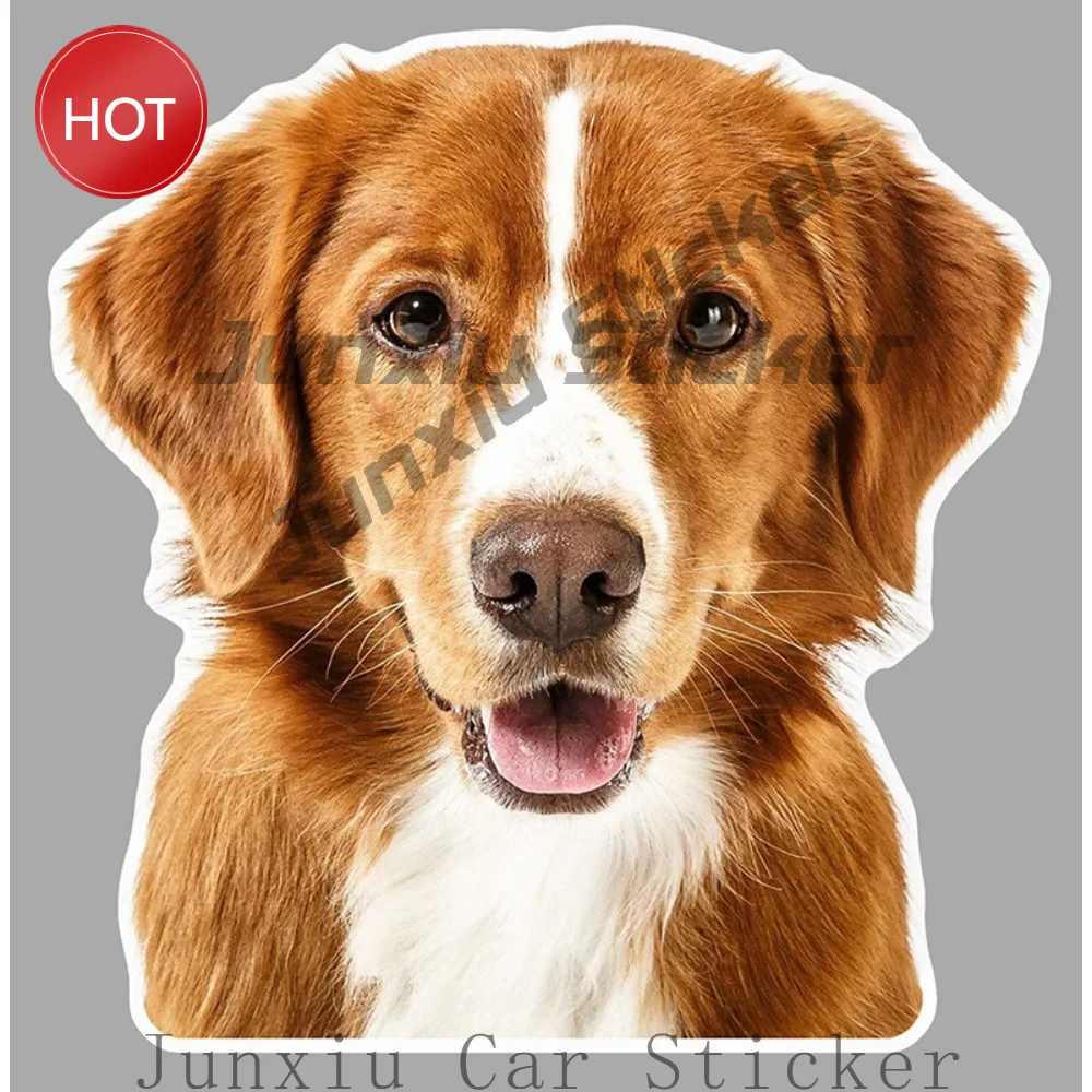 Tete De Chien Epagneul Cocker Labrador Berger Caniche Autocollant Sticker Vintage Silver Vinyl Decal Weather Auto Accessories