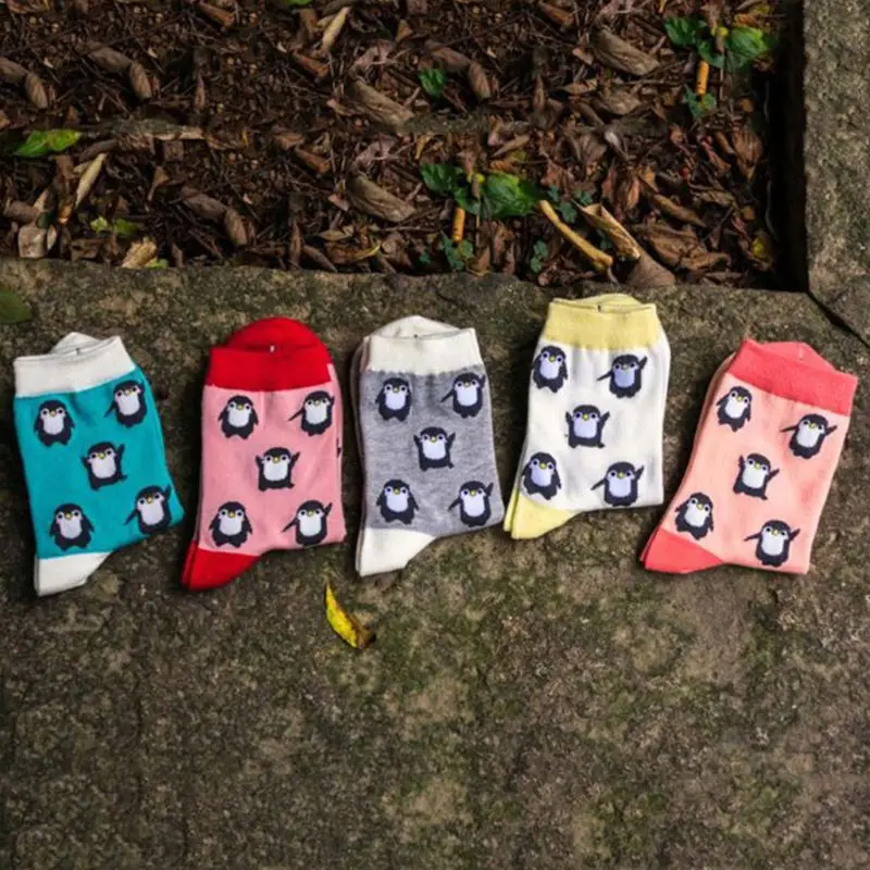 

5 Pairs Cartoon Penguin Animal Print Women Socks Cotton Hosiery Gifts