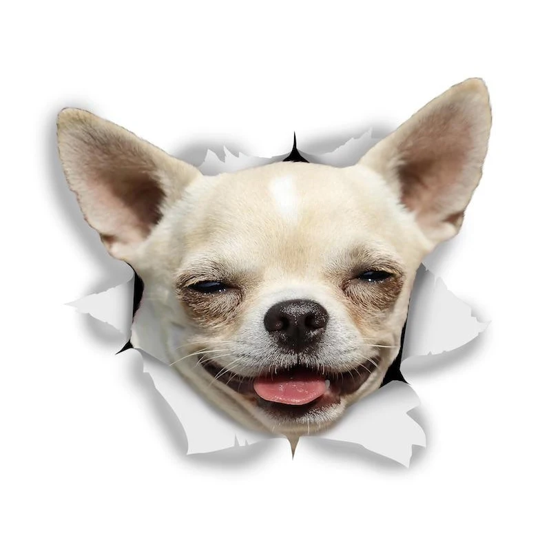 32724 # 13 Cm/17 cm Happy Chihuahu Dog Self-adhesive Decal Car Sticker Waterproof Auto Decors on Bumper Rear Window Laptop