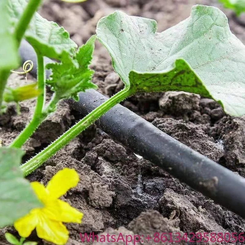 

Pandora Customized 16mm Garden Farm Plastic Drip Irrigation Pipe System Drip Tape for