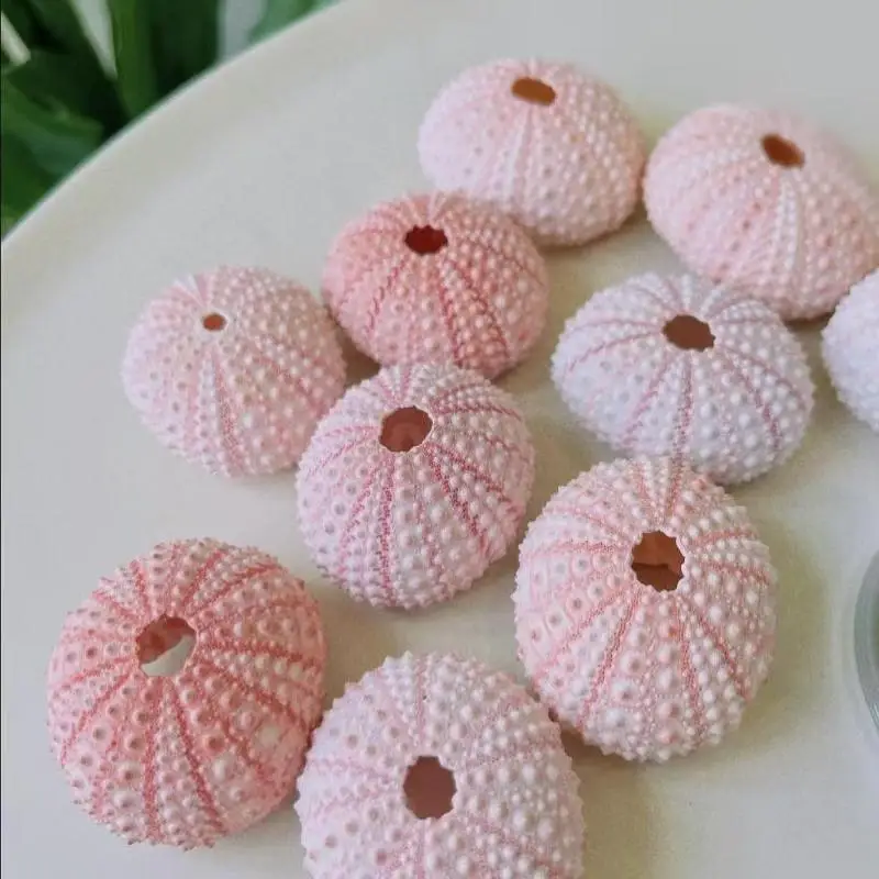 3/5Pcs Natural Sea Urchin Shells Unique Bumpy Surface Soft Pink White For Beach Crafts Aquarium Coastal Home Decor