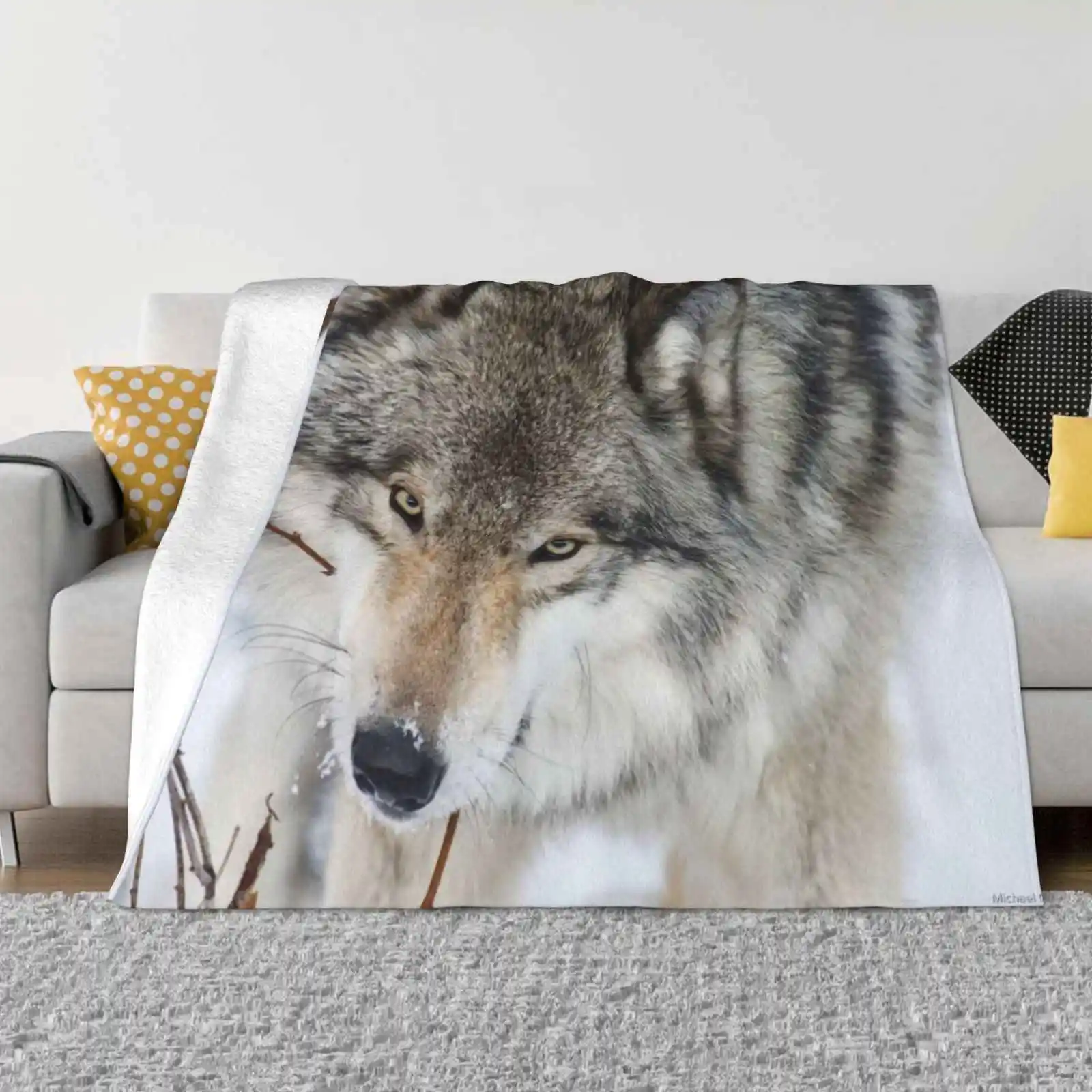 Timber Wolf Latest Super Soft Warm Light Thin Blanket Timber Wolf Pics Timber Wolf Pictures Timber Wolf Images Wolf Photographs