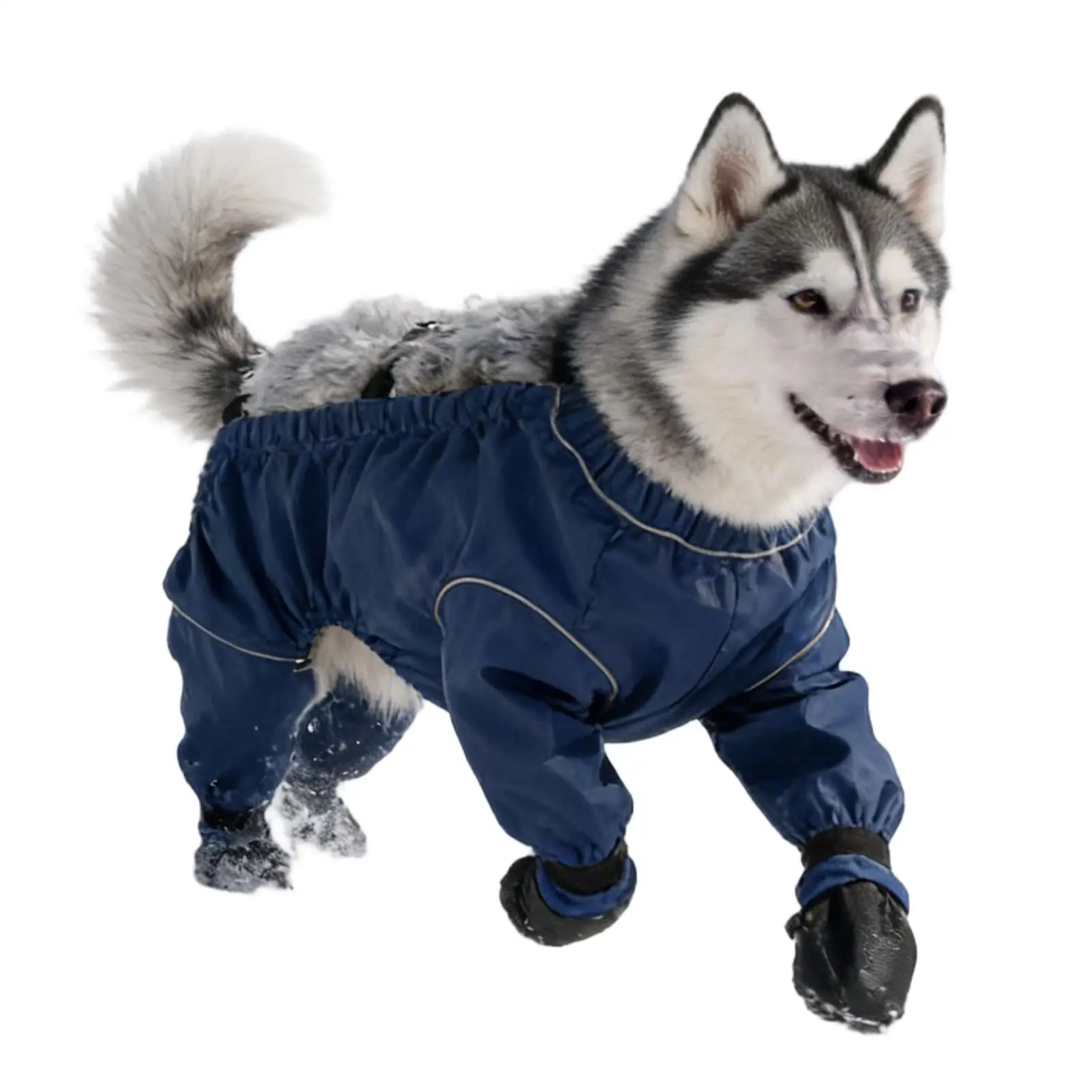 

Одежда для собак: теплая, дышащая одежда для щенков, зимняя одежда для собак маленьких, средних и крупных пород, для прогулок, дома, улицы и походов.