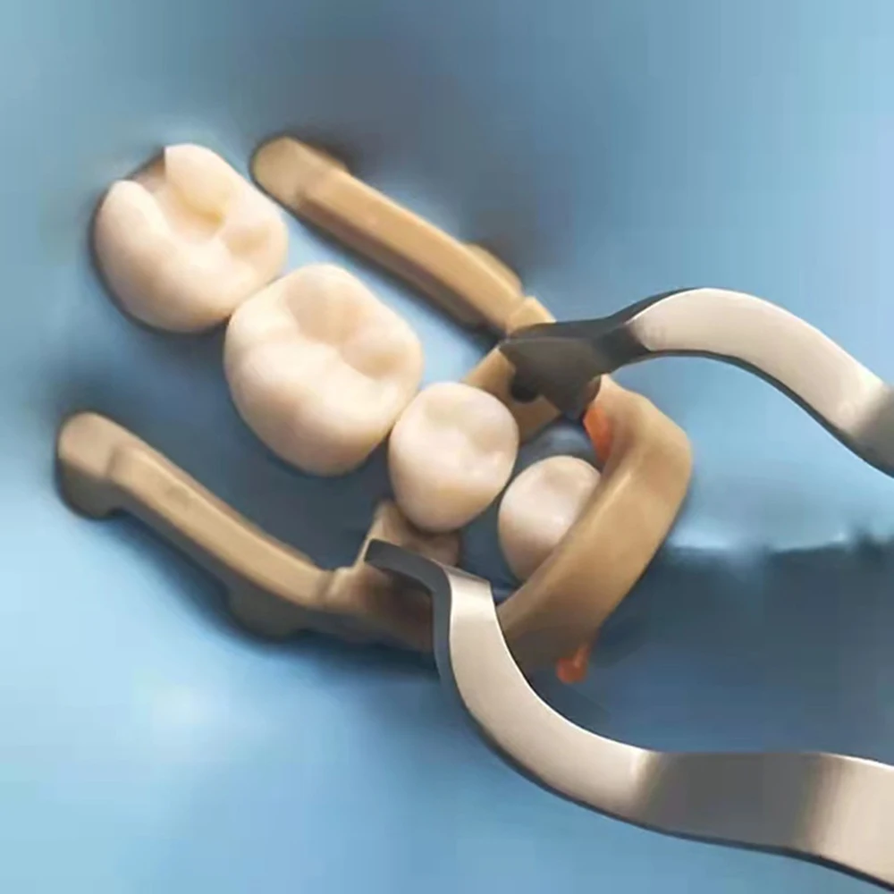 NIGF Distal Extension Premolar ยาง Dental Dam Clamp ยาง Barrier คลิปเรซิ่น Clamp ยาวสั้นทันตกรรมฟันซ่อมเครื่องมือ