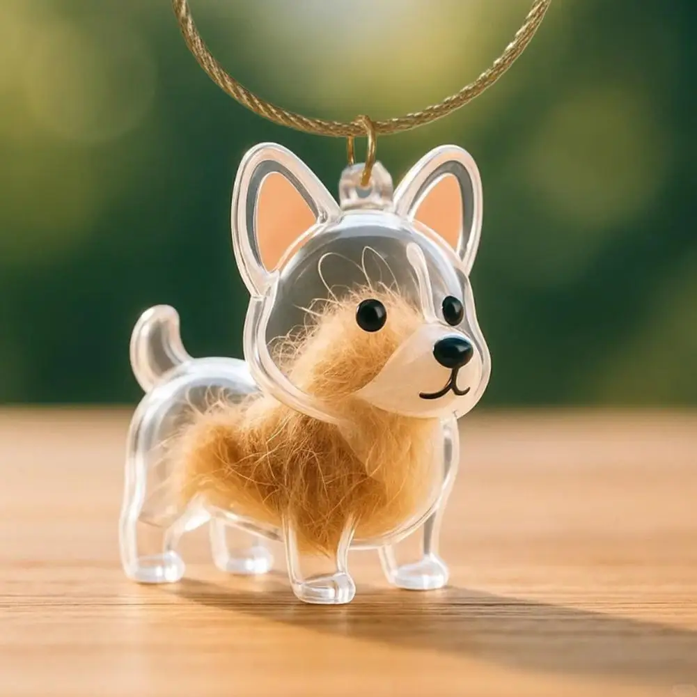 Dog Hair Storage Pendant Keychain Transparent Pet Fur Keepsake Capsule DIY Decoration Memorial Gifts for Pet Lovers Home Display
