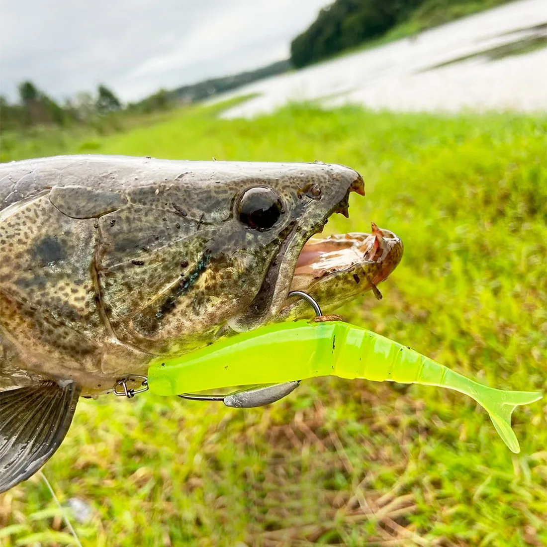 خطاف رأس صيد السمك من FishTrip مع دبوس قفل زنبركي خطاف شائك كرنك طعم بلاستيكي خطاف دودة ناعم عالي الكربون من الصلب معالجة الأسماك
