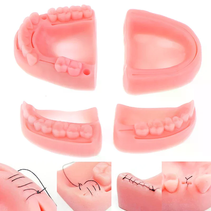 4pcs/set suture training module soft gum model food-grade silicone dental model teaching equipment