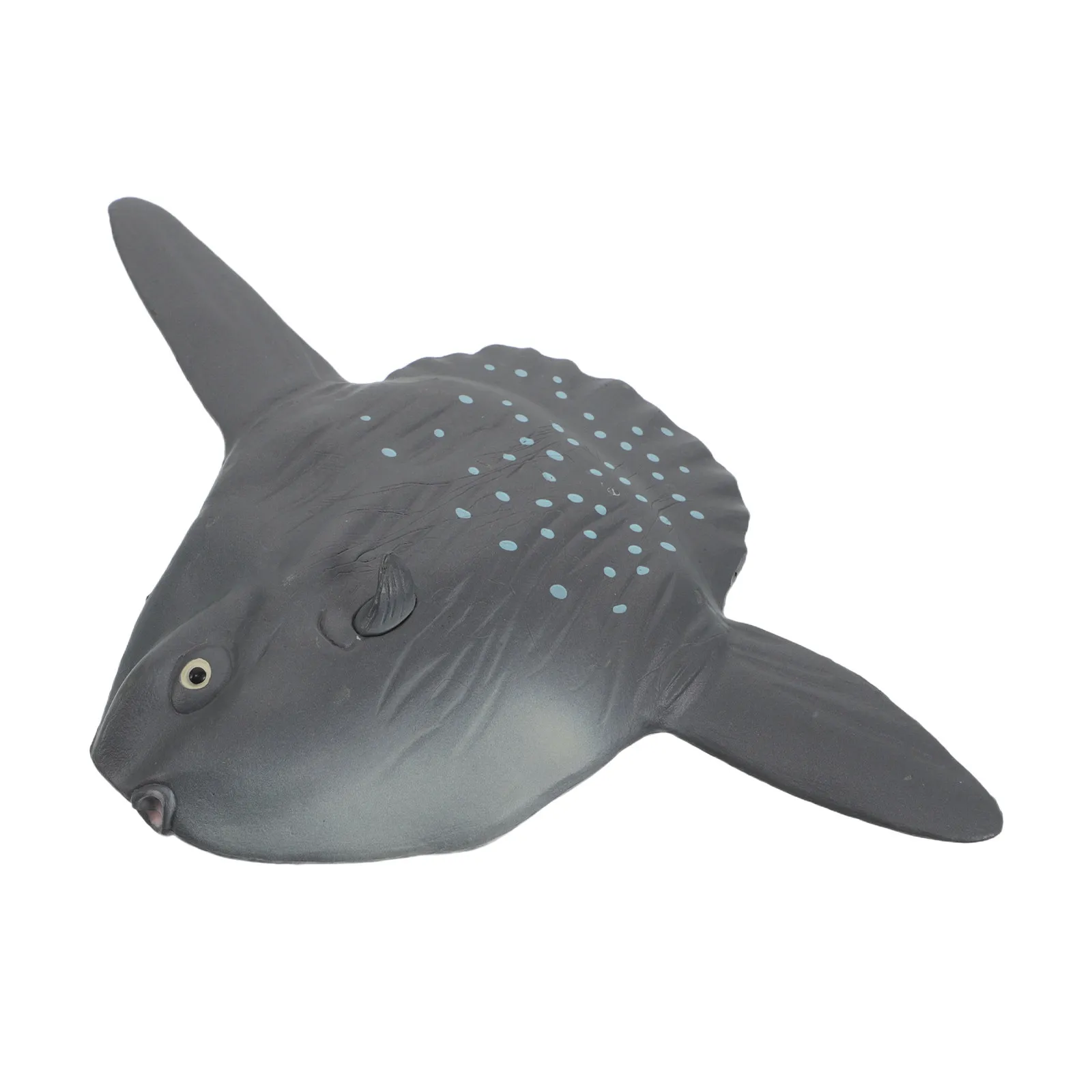 

Sunfish Realistic Marine Animal for Kids Ocean Learning Playroom Decor Educational Sea Creatures Plastic Fish Props