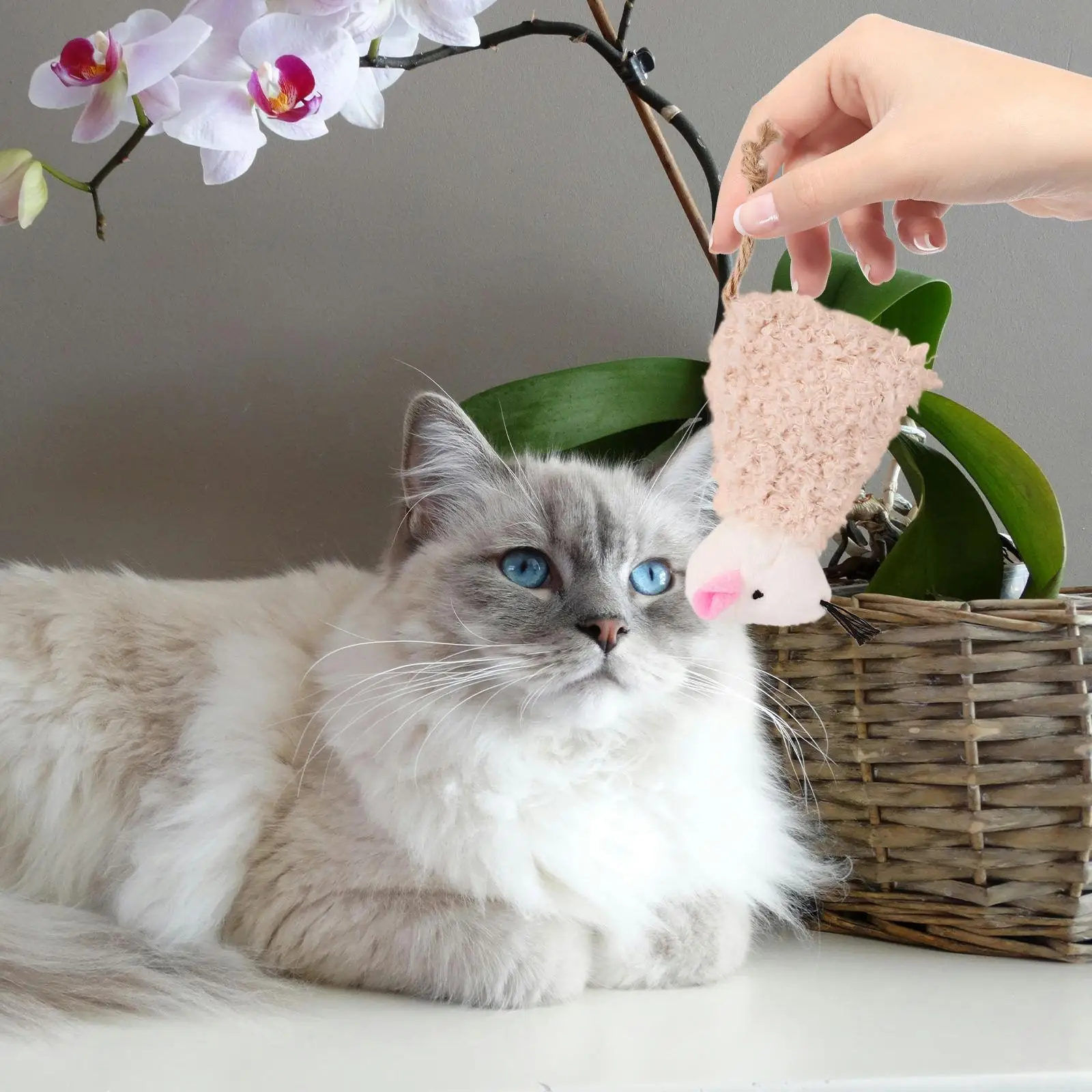 3 uds juguete de simulación de gato de lujo juguetes para cachorros de bebé Teaser peluche interactivo interior
