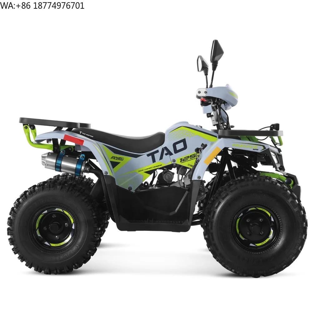 Cuatrimoto Todoterreno Tao Motor 2024, Económica, a Gasolina, Automática, Motor de 4 Tiempos, 110cc 125cc, ATV para Niños