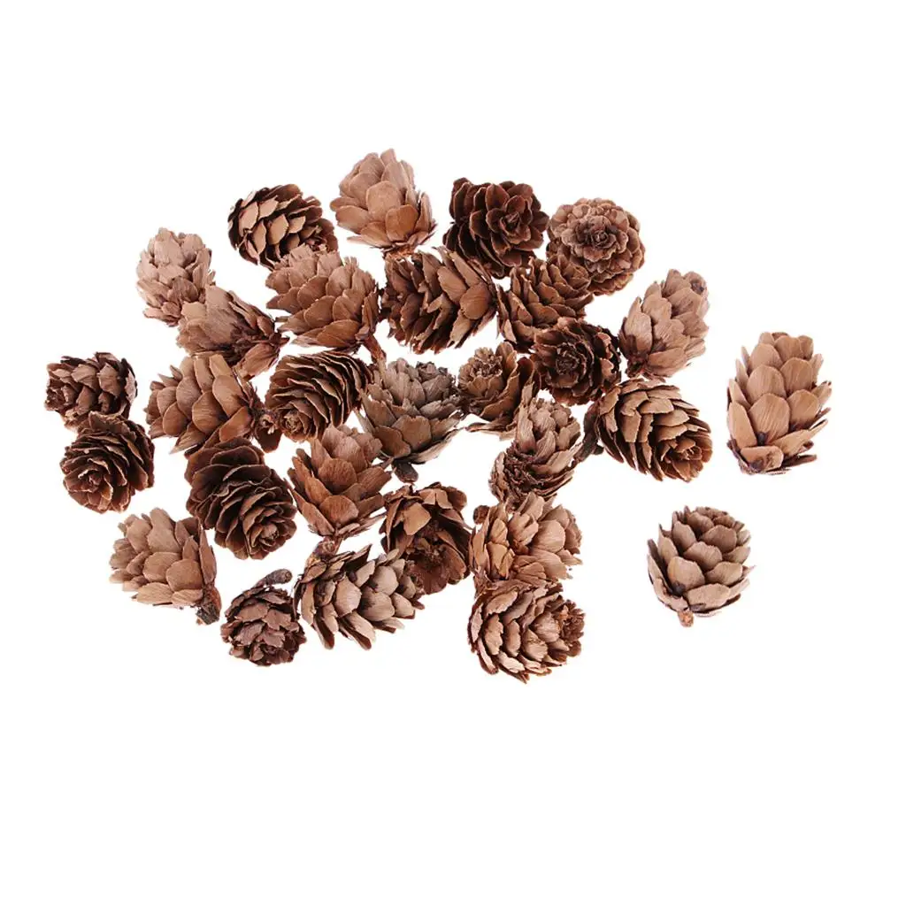 30Pcs Small Dried P…
